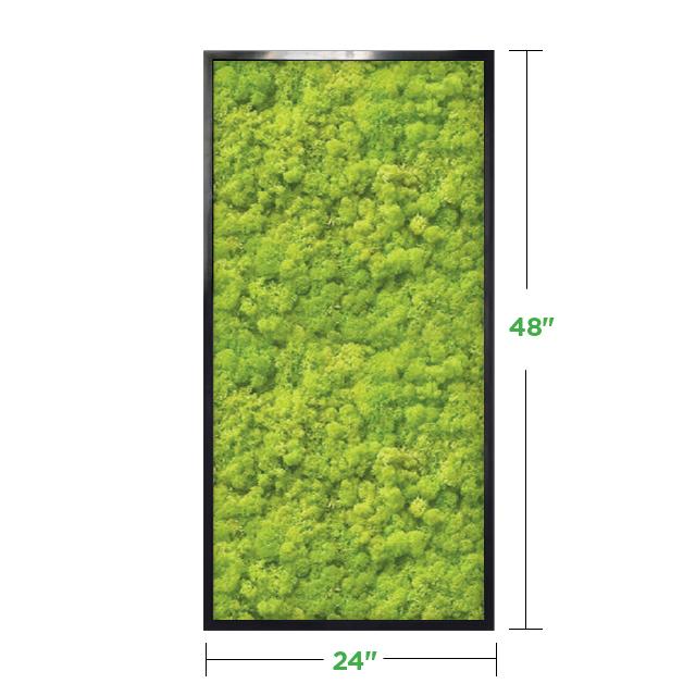 48x24-black-lime-green-reindeer-moss